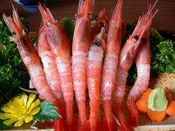 日本甜蝦刺身 1KG - Japanese Sweet Shrimp (Sashimi Grade)